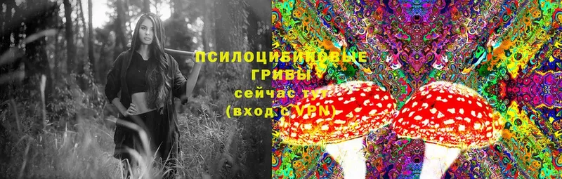 omg вход  Агидель  Галлюциногенные грибы Psilocybe  дарнет шоп 